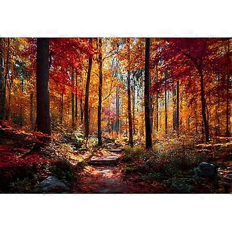 Jigsaw Puzzles for Adults Puzzles ImpossiblePuzzles Autumn Maple Leaves Forest Tree Landscape Jigsaw Puzzle SQZ1605