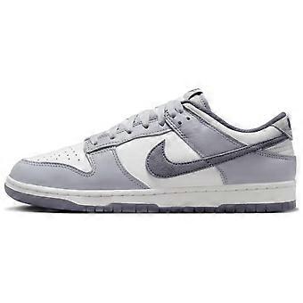 Nike Dunk Low SE Light Carbon FJ4188-100
