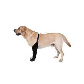 XXXL Neoprene Paw Protector Sock