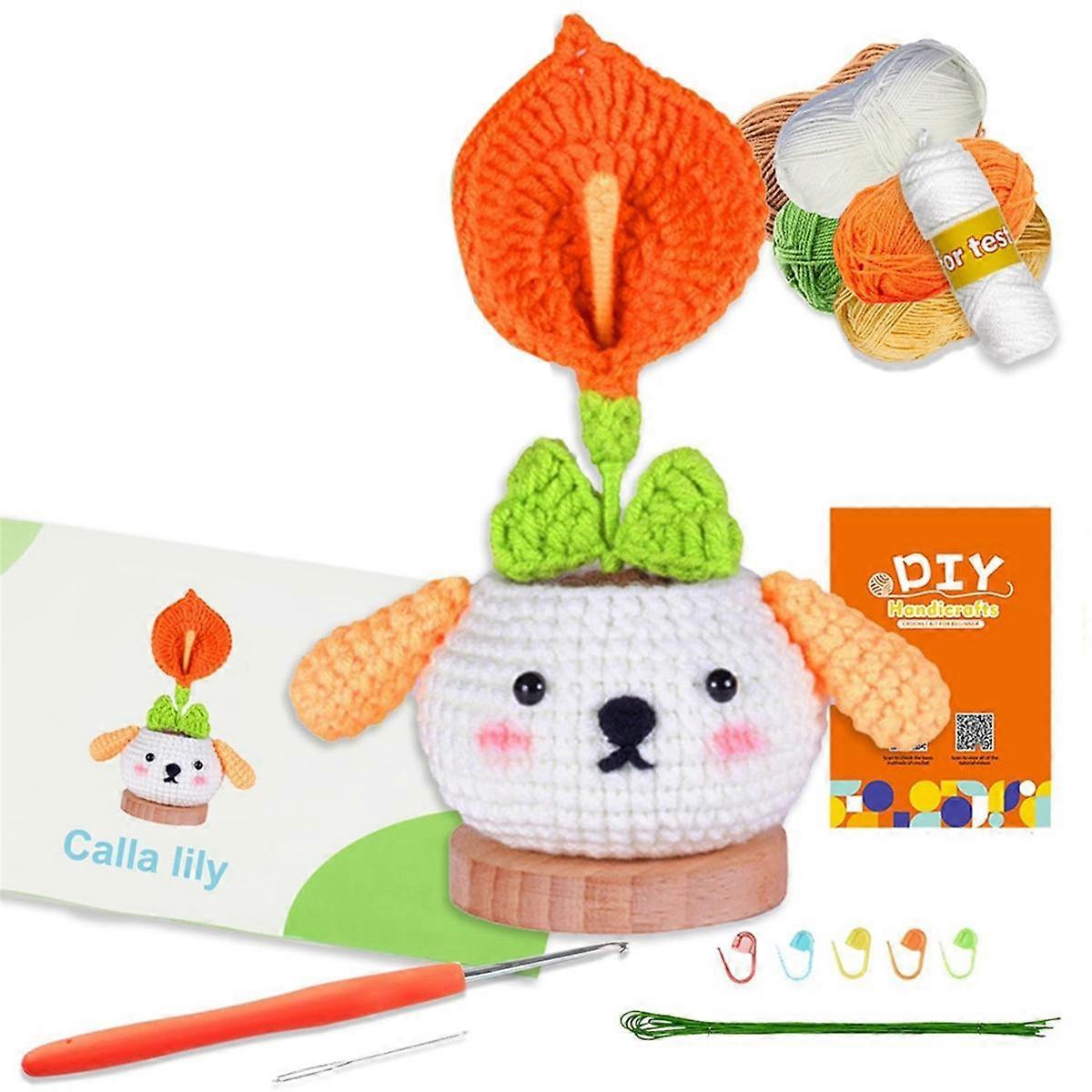 Easy Crochet Kit for Beginners,Potted Plants Flower Crochet Kit, Learn to Crochet Kit for Adult with Crochet Hook