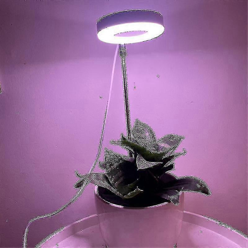 5w Led Full Spectrum Indoor Plants Grow Light, Height Adjustable 4 Dimmable Plant Light With 2/4/8h Timer-dwdz