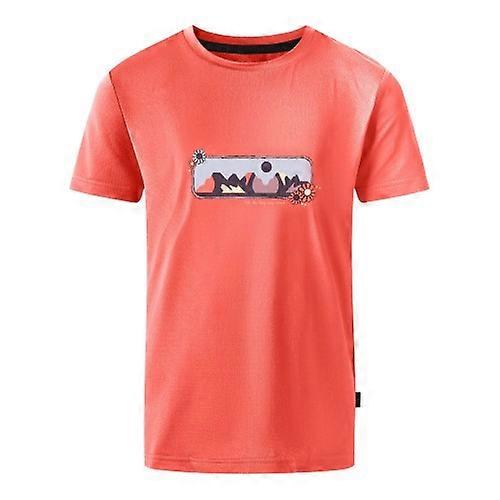 Dare 2B Childrens/Kids Amuse II Mountain T-Shirt