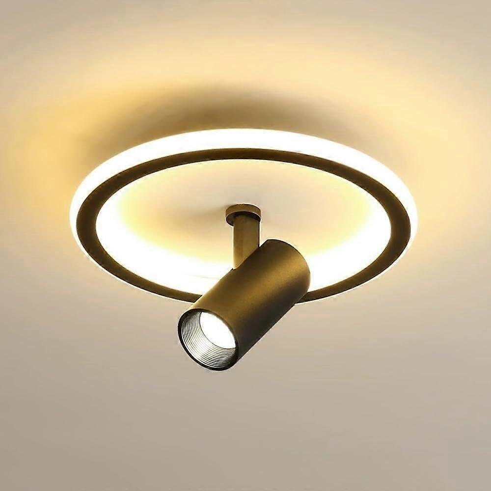 White/Black Ceiling Spot Light Round LED Ceiling Fixture 30W Surface Mounted Light