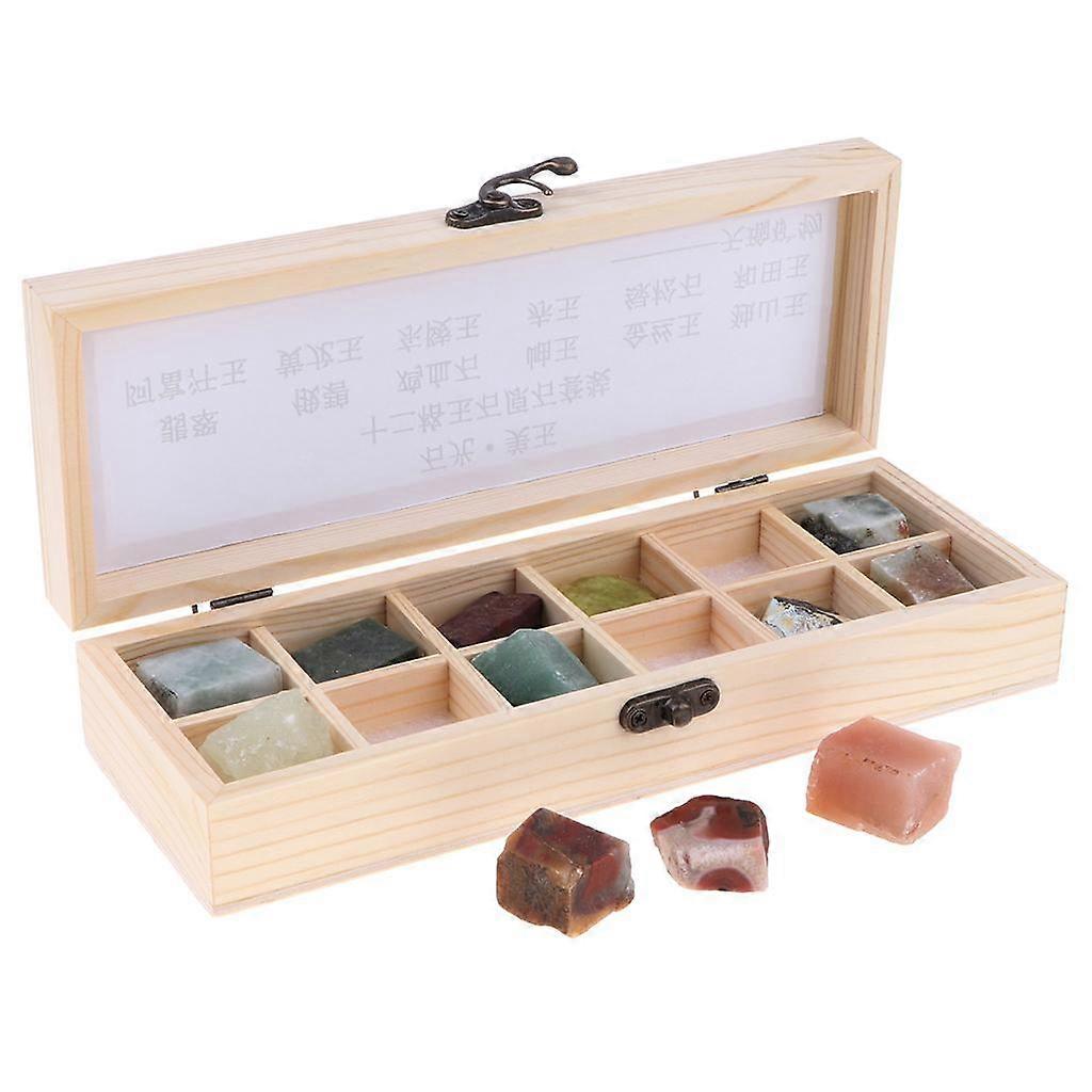 12x Rock & Mineral Specimen Collection Jade Stone in Box Geology Science Toy