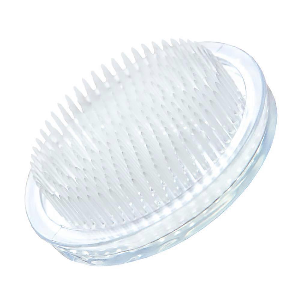 Flower Arrangement Base with Sturdy Plastic Needles for Secure Flower Holding, Round Shape
