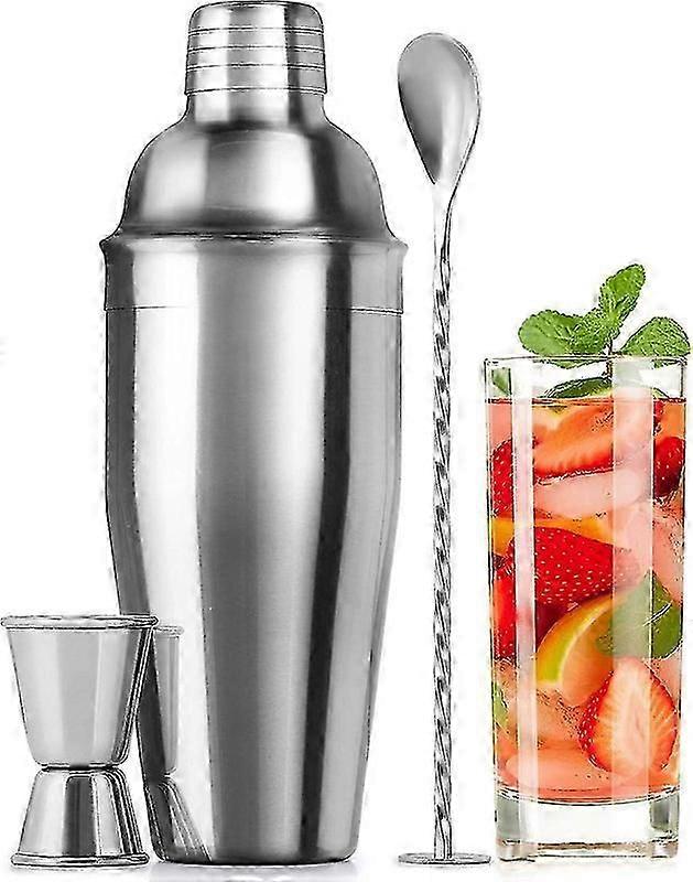 DWW 700ml Ensemble de shaker à cocktail en acier inoxydable Martini Shaker avec passoire et jigger