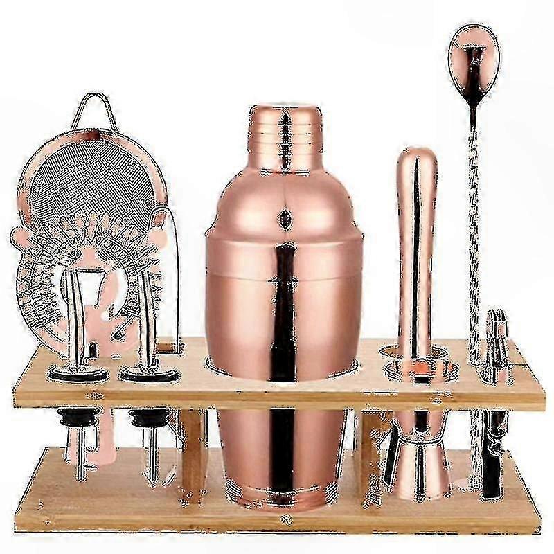 750ml 11-Piece Stainless Steel Cocktail Shaker Kit with Y-Strainer and Mixing Tools for Bar Use