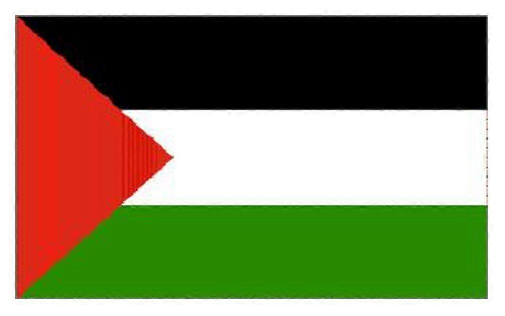 5ft x 3ft Palestine Flag Polyester with Double Stitched Edges and Eyelets for Outdoor Display