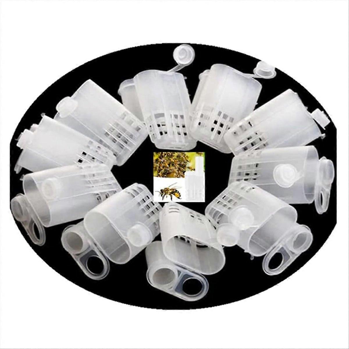 Bee Queen Cages Bee Cages Beekeeping Catcher Bee Equipment