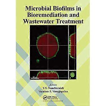 Biofilms microbiens dans la bioremédiation et le traitement des eaux usées