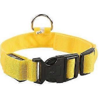 USB Rechargeable Night Dog Light