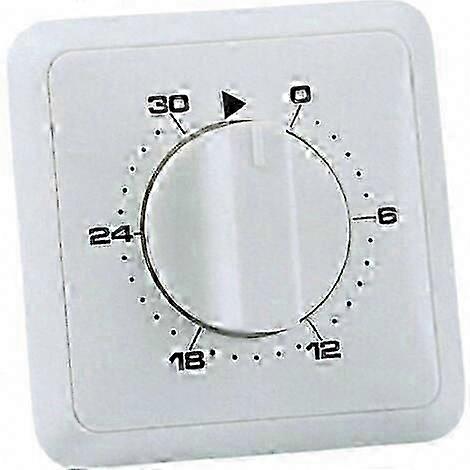Analogue Flush-Mounted Timer with 30-Minute Daily Program