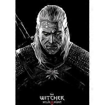The Witcher : Toxicity Poisoning Stress-Relieving Puzzle BD-5528
