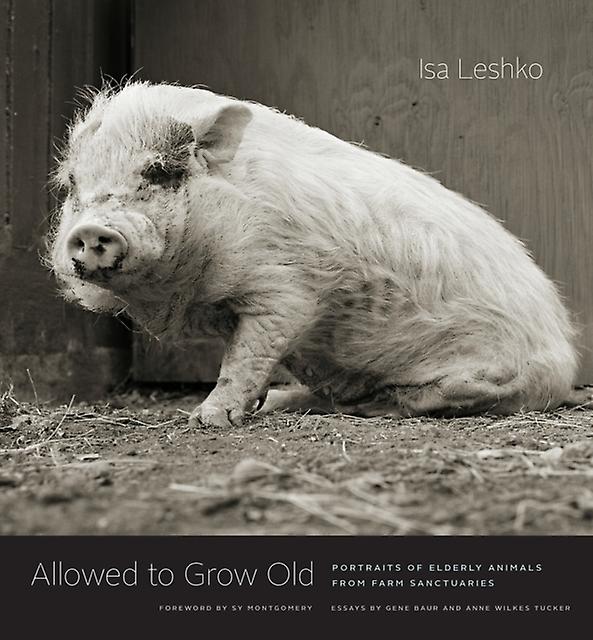 Allowed To Grow Old Paperback Book