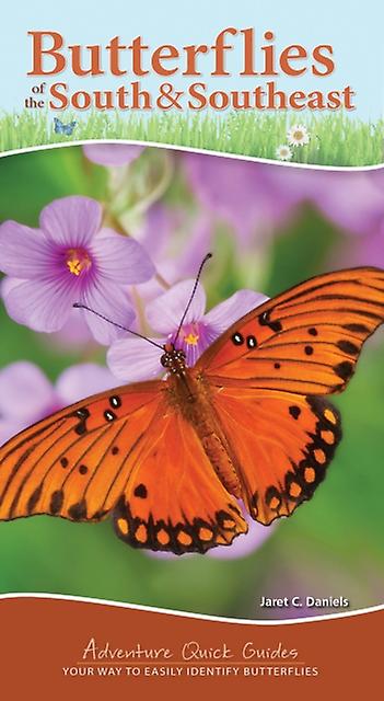 Butterflies Of The South Southeast by Jaret C. Daniels Paperback Book