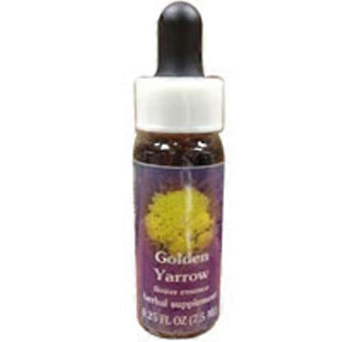 Flower Essence Services Golden Yarrow Dropper, 0,25 oz (2er Pack)