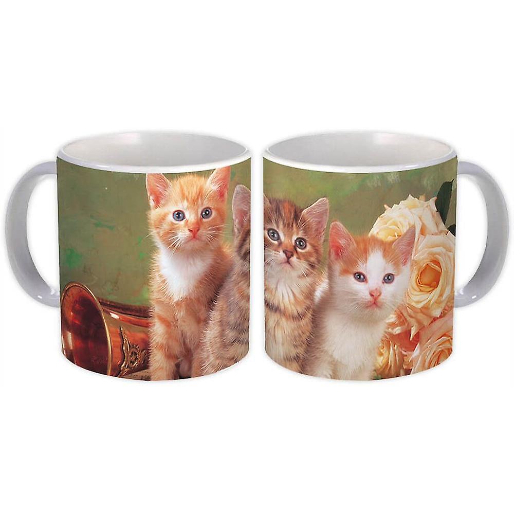Hediye Kupa: Kedi Hayvan