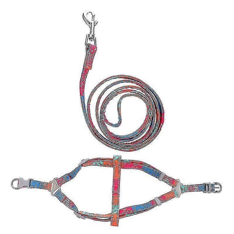 1set Walking Pet Harness