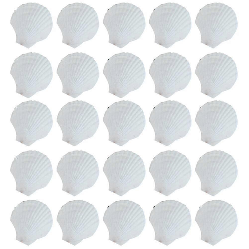 25pcs Natural Scallop Shell, For Handmade Diy Production Handmade Diy Coloring Shell