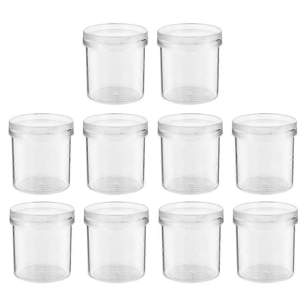 Transparent Insect Observation Box Magnifier Cage Air Vented Critter Viewer for Bug Collecting and Nature Exploration (10pcs)