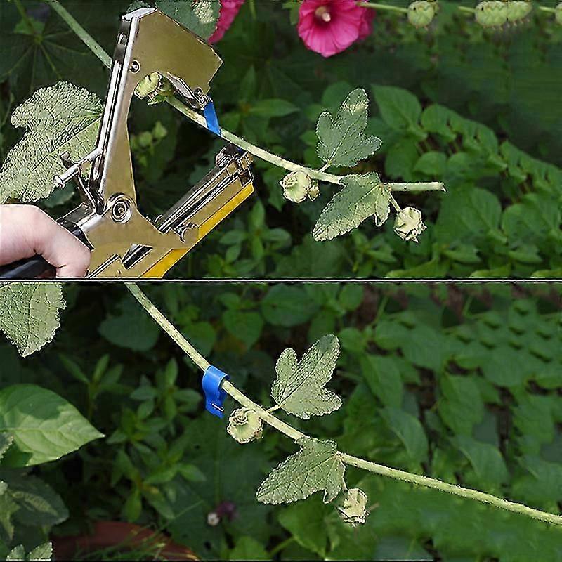 新しい高品質の植物枝手結束テープバインディングマシン花野菜ガーデンテープツール