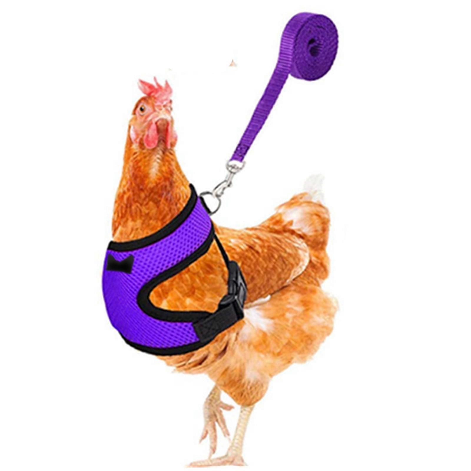 9.4x(12-16) Inch Chicken Harness with Leash, Upgraded Double Adjustment Chicken Harness and Leash Set for Hens, Duck, Goose, Small Pet