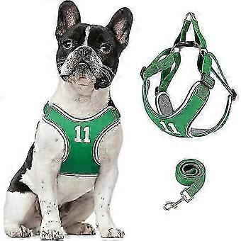 Dog Harness and Leash Set, Adjustable Step in Pet Vest Harness Soft Easy Walk, No Chock Puppy Harness for Small Medium Dogs 25-26