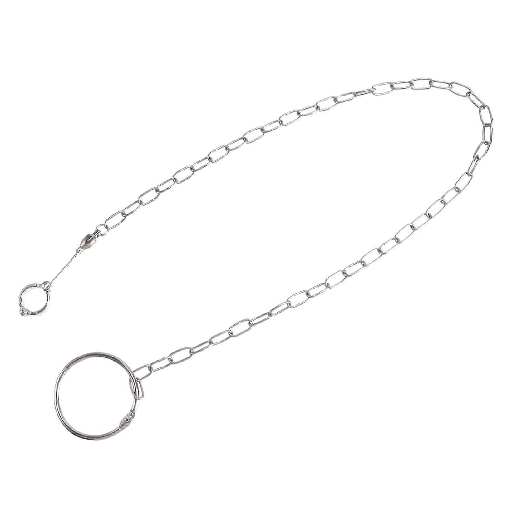 Stainless Steel Parrot Foot Ring with Secure Split Lock for Macaws and Cockatoos