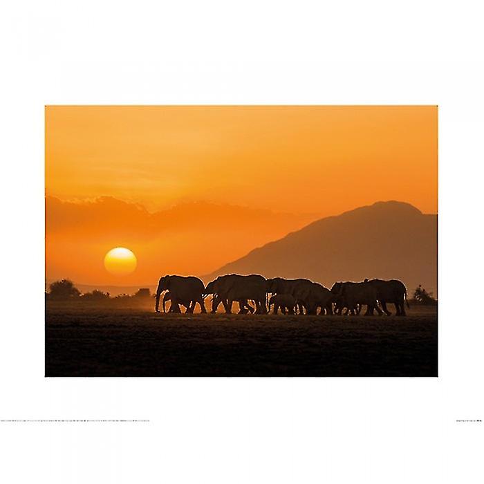 Mario Moreno Amboseli Sunset Poster