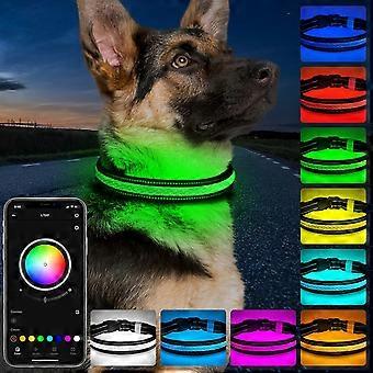 Świecąca obroża dla psa, obroża LED z aplikacją Bluetooth i wieloma kolorami RGB, wodoodporna obroża dla psa z ładowaniem przez USB, zapewniająca bezpieczeństwo w nocy