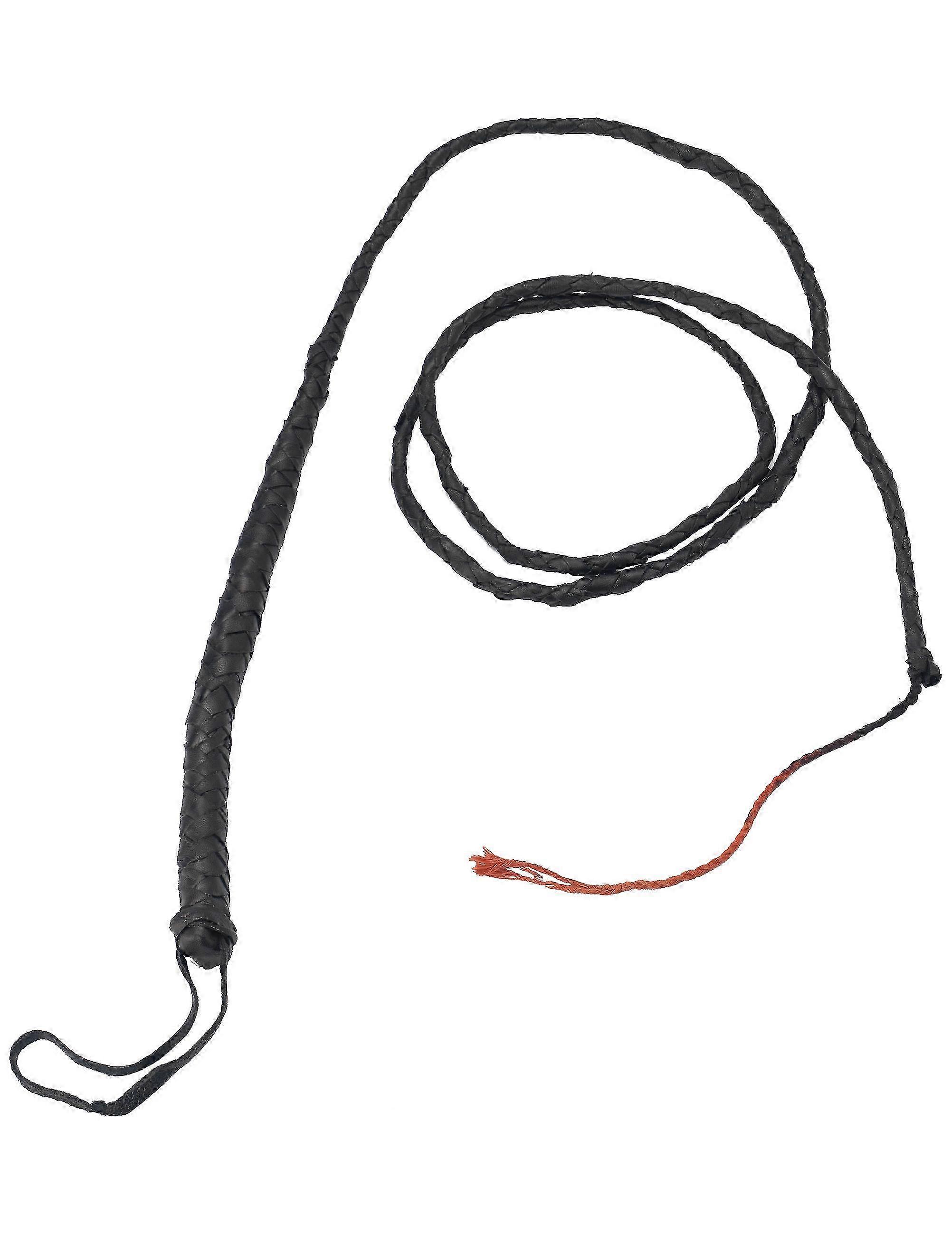 Adult plastic whip