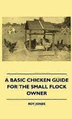 A Basic Chicken Guide For The Small Flock Owner