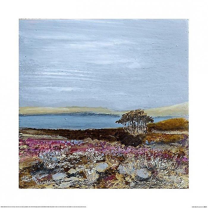 Louise O'Hara Scottish Heather Ll Poster
