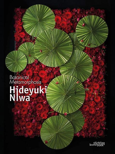 Hideyuki Niwa by Hideyuki Niwa Hardback Book