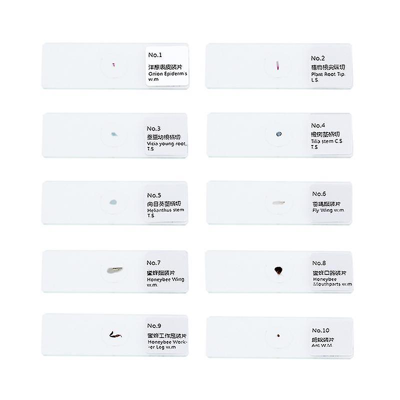 10 stk prøve prøver