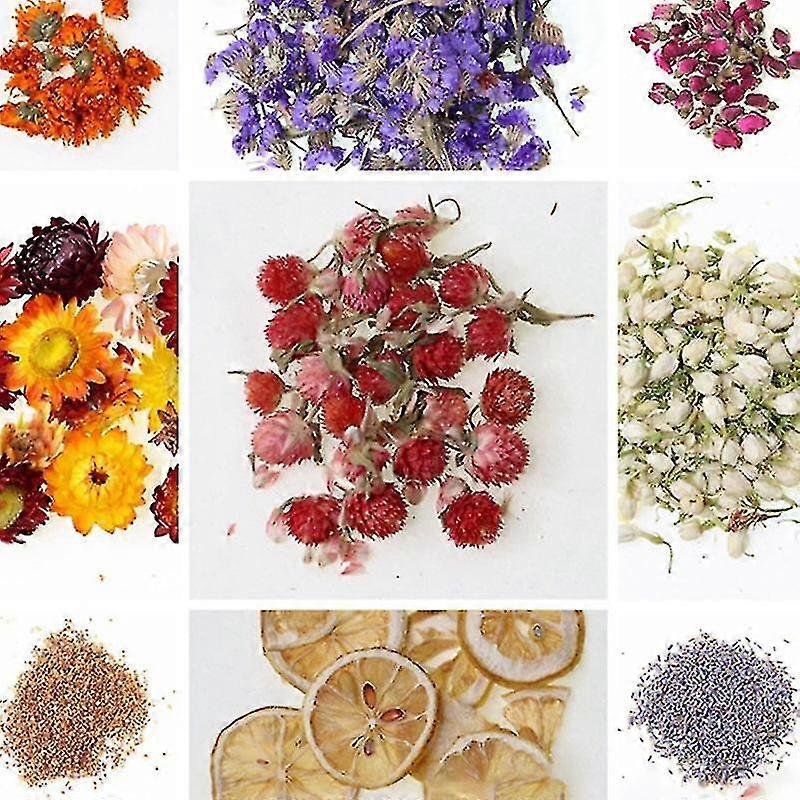 Verklig torkad blomma torr växt för aromaterapi ljus Epoxi harts hänge dekor