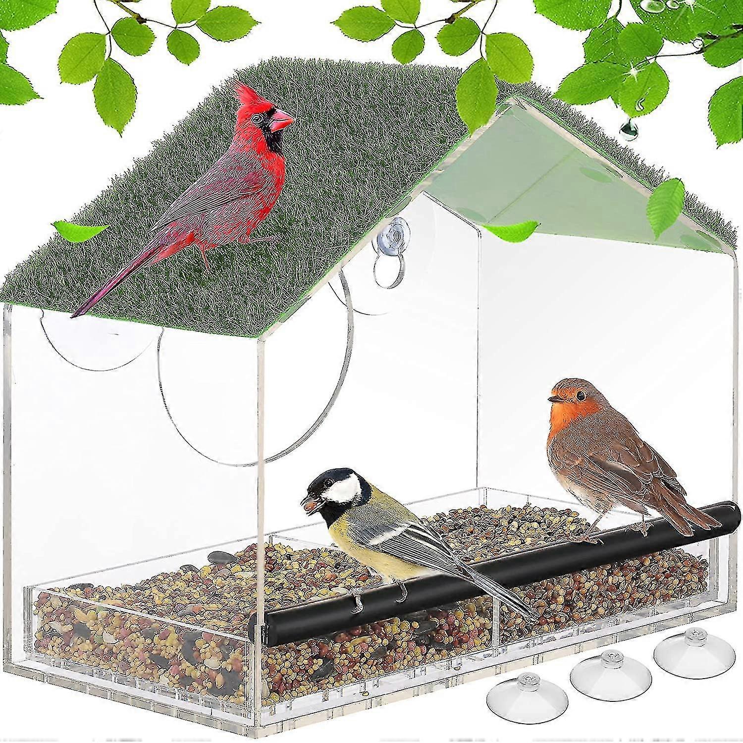 Mangeoire à oiseaux de fenêtre avec ventouses solides Mangeoire de fenêtre d’oiseau avec amovible