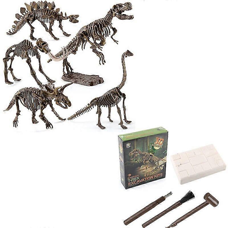 Ny oppgradert stor T Rex Tyrannosaurus Dinosaur 4d montert skjelett fossil modell dekor leker