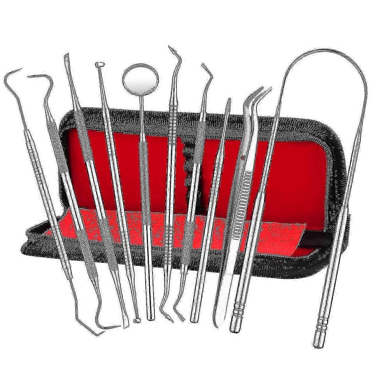 Ensemble de 8 instruments dentaires en acier inoxydable