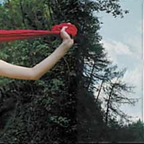 Early Day Miners - All Harm Ends Here  [COMPACT DISCS] USA import