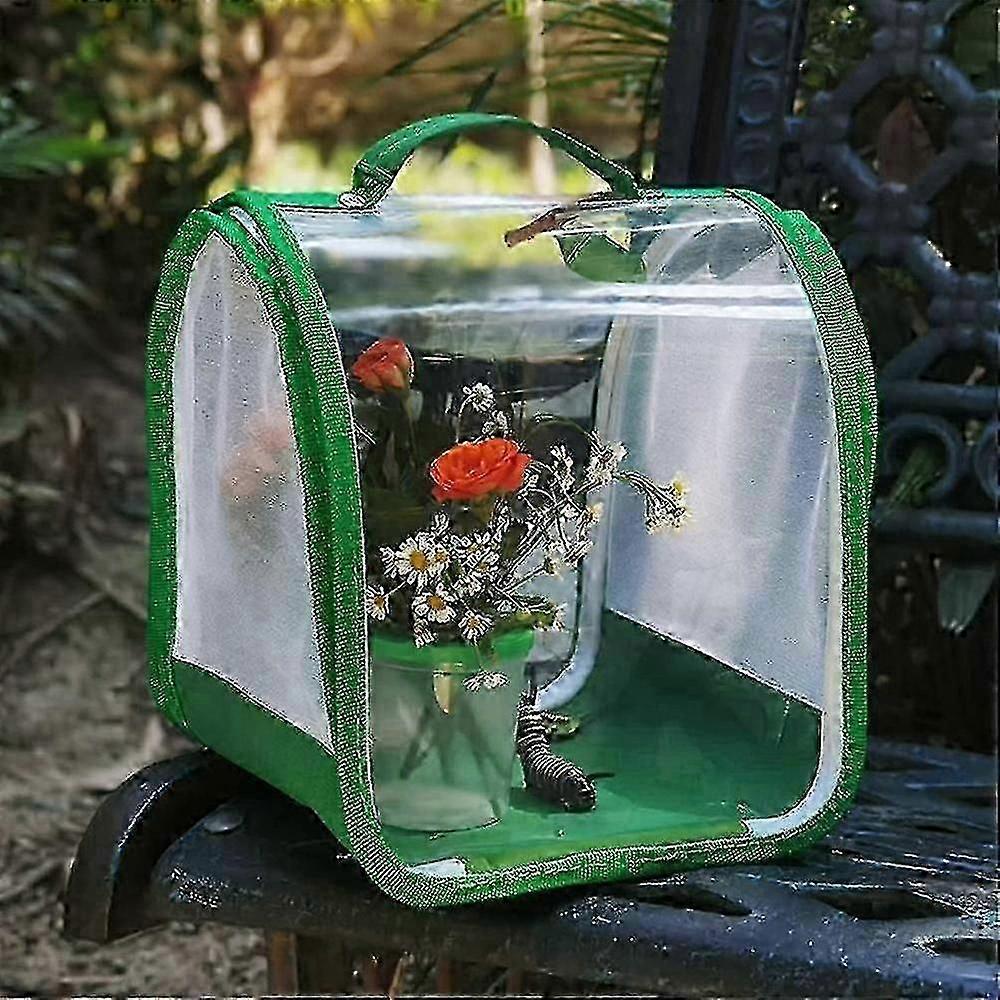 Portable Mesh Butterfly Habitat Kit with Clear Viewing Panels for Observing Live Caterpillars Grow