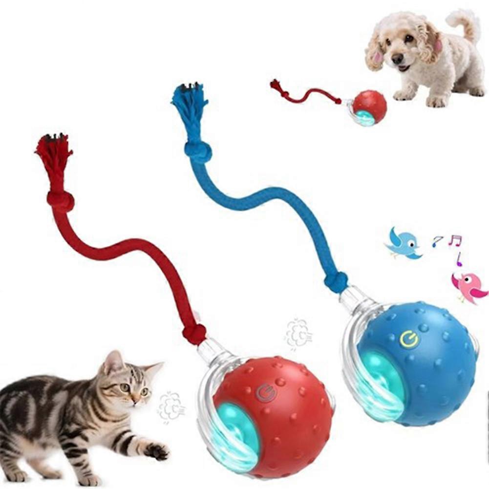 Interactive Birds Sound Cat Toy Ball USB Rechargeable, Smart Auto Rolling Toy for Indoor Play, Boredom Relief Exercise