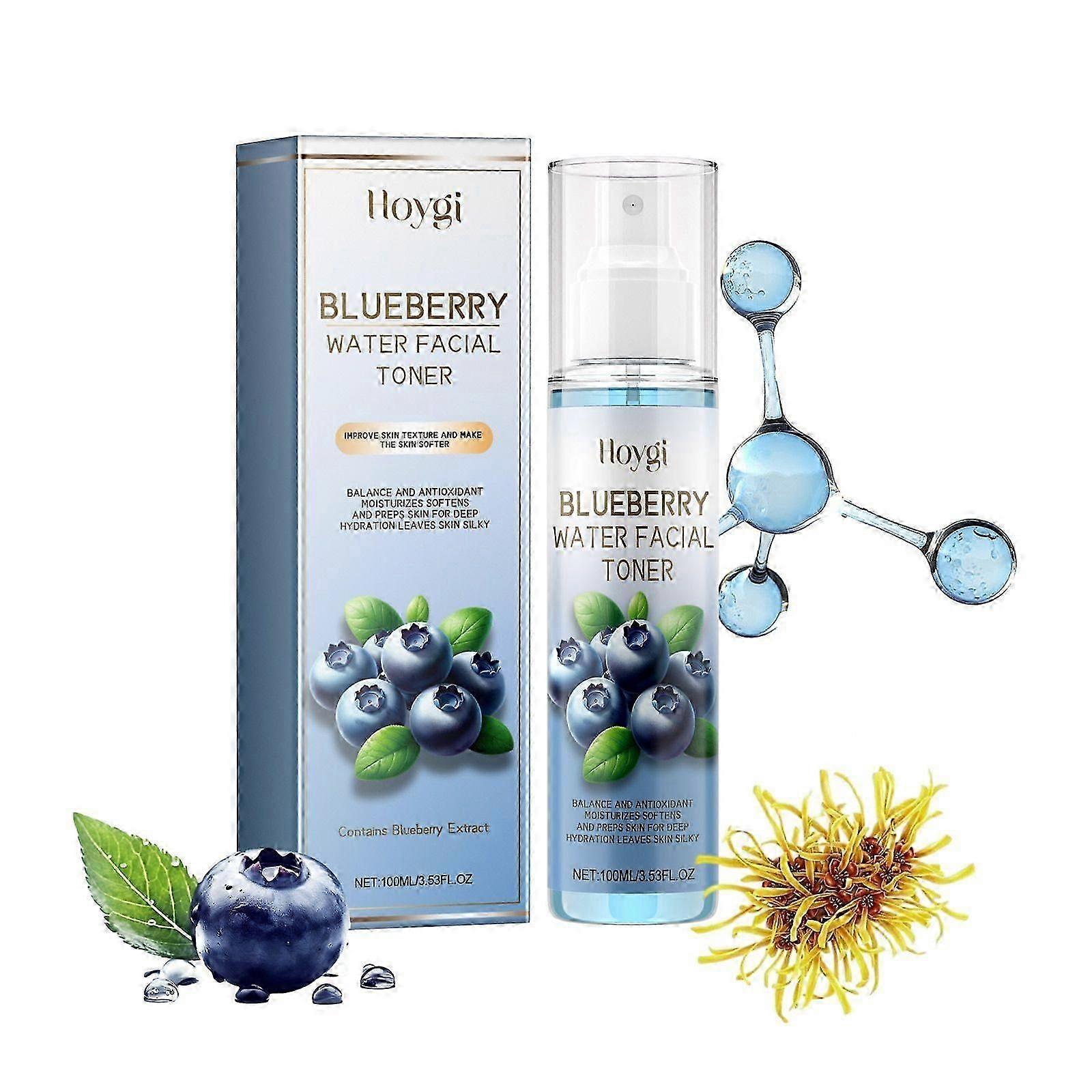 Blueberry Moisturizing Toner for Hydration, Brightening & Anti-Aging - Deep Cleansing