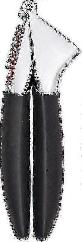 Garlic Press - Easy-to-use Kitchen Tool For Crushing Garlic