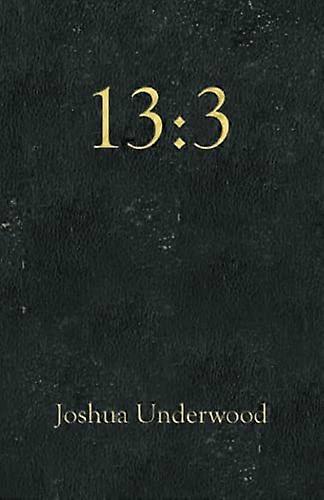 13: 3