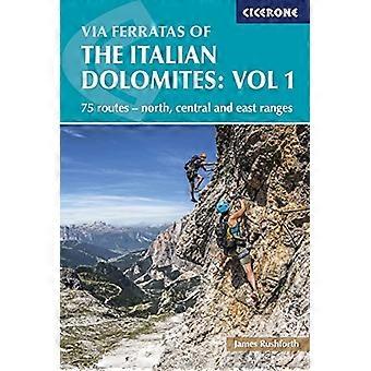 Klettersteige der italienischen Dolomiten Band 1: 75 Routen - Norden, Mitte und Ost