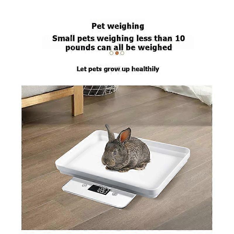 Digital Kitchen Scale - White Glass with Management App, LCD Display