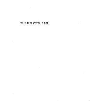 The life of the bee