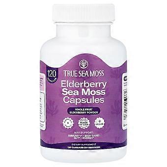 True Sea Moss, Elderberry Sea Moss, 120 Capsules