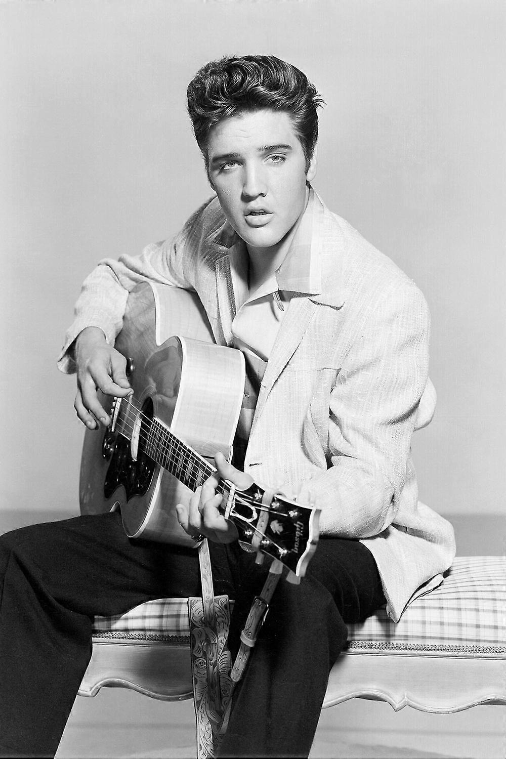 Elvis Puzzel Hersenkraker SD392